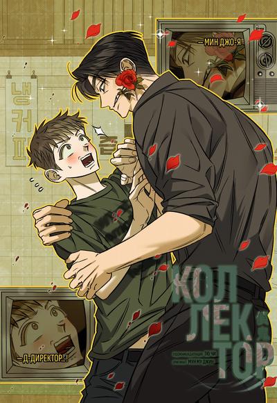 Коллектор